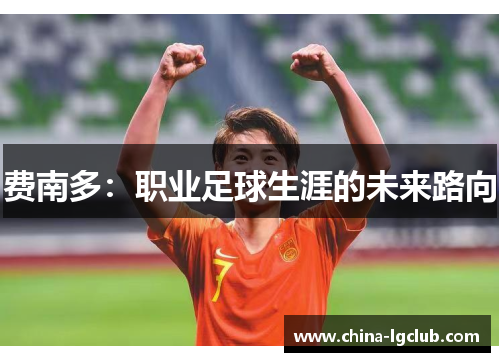 费南多：职业足球生涯的未来路向